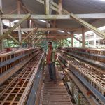 Bumdes Gondang Legi Unit Usaha Ketahanan Pangan Peternakan Ayam Petelur